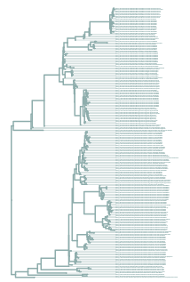 fastqc_per_sequence_quality_scores_plot